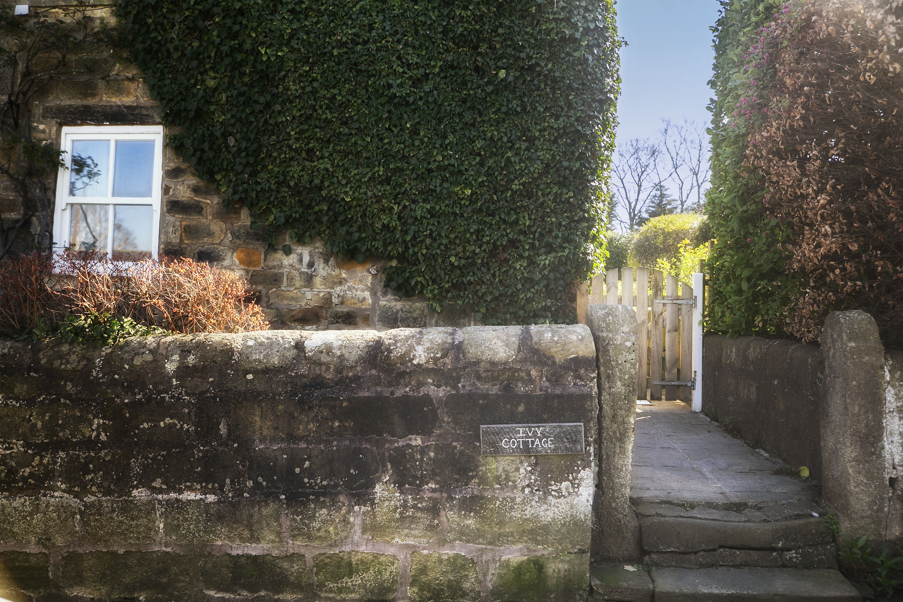 Ivy Cottage - image 13
