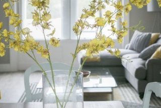 Spa Apartments – superior deluxe 2 bedroom apts – photo 6