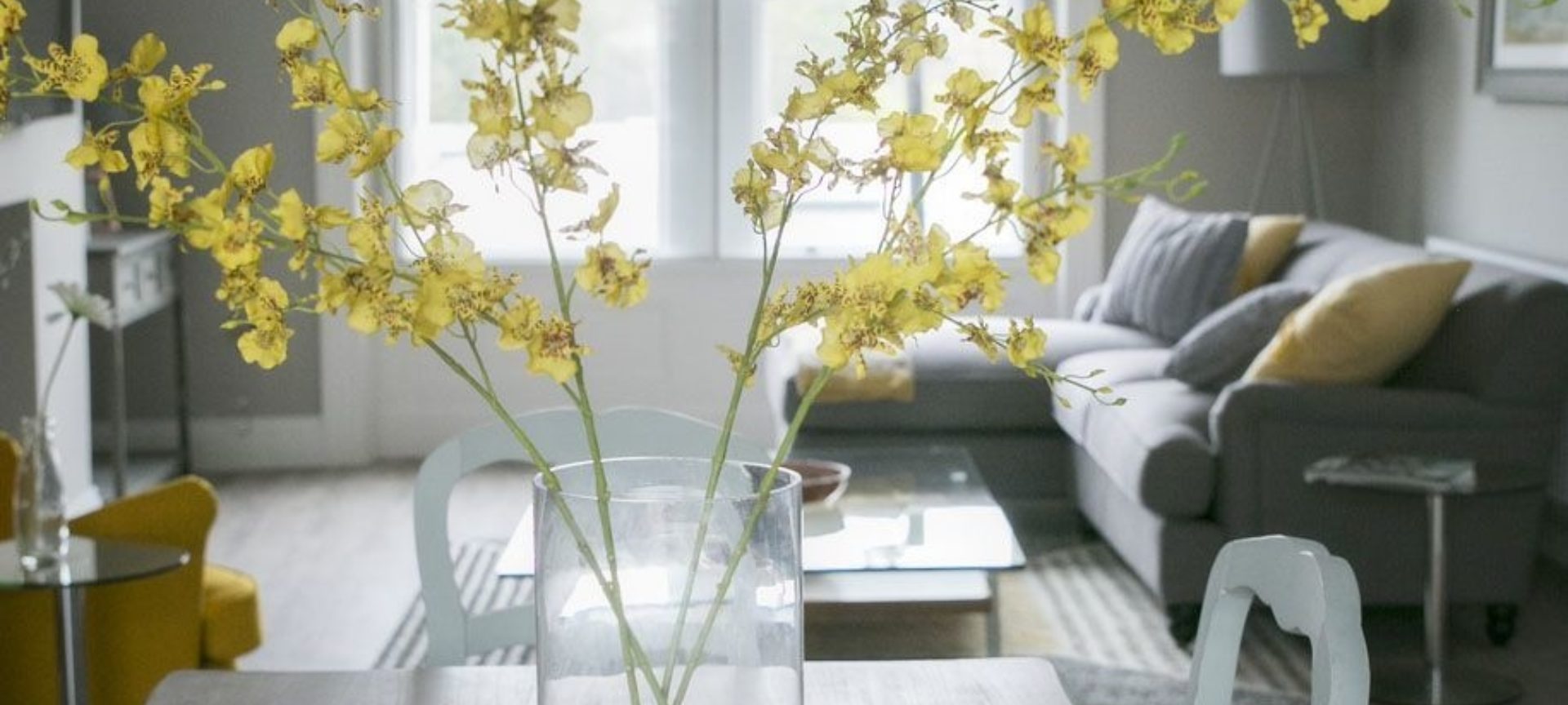 Spa Apartments – superior deluxe 2 bedroom apts – photo 6